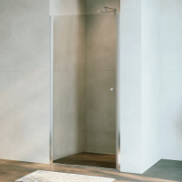 Душевая дверь в нишу RGW Dolphin 54930308-11 TN-03 80х195, профиль хром, стекло прозрачное