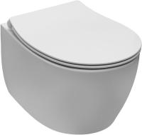 Унитаз Allen Brau 4.11004.21 подвесной, безободковый, без сиденья, 51x36.3 см, белый матовый