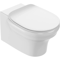 Унитаз подвесной Jacob Delafon Cleo 1889 EDZ102-0 безободковый, белый