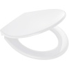 Сиденье для унитаза Ridder Mempхhis О2217101 с микролифтом, белое