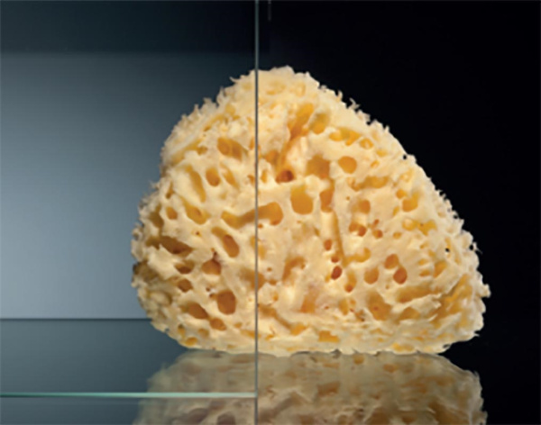 душевой уголок black&white stellar wind s898, 120×90 см, профиль черный матовый