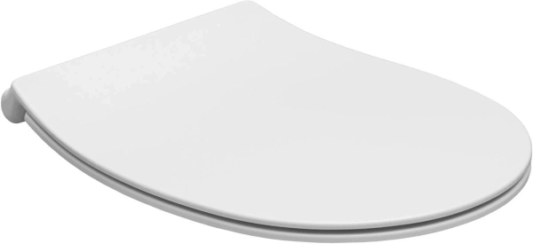 унитаз allen brau 4.11004.21 подвесной, безободковый, без сиденья, 51x36.3 см, белый матовый