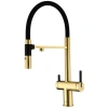 Смеситель для кухни с подключением к фильтру Paulmark Gravity Gr213888-G