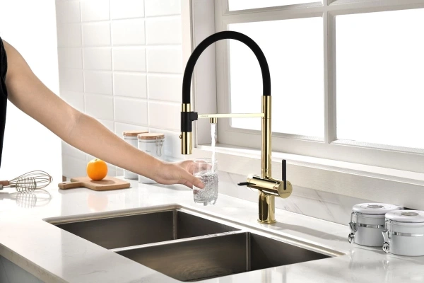 смеситель для кухни с подключением к фильтру paulmark gravity gr213888-g