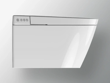 инсталляция для унитаза tece tecespring s955799 с унитазом-биде, крышкой сиденьем, с кнопкой смыва цвет хром