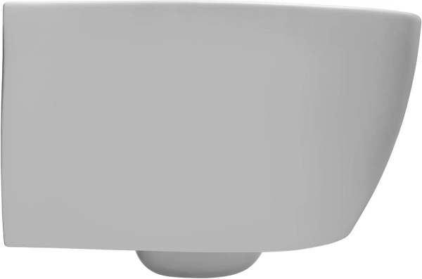 унитаз allen brau 4.11004.21 подвесной, безободковый, без сиденья, 51x36.3 см, белый матовый