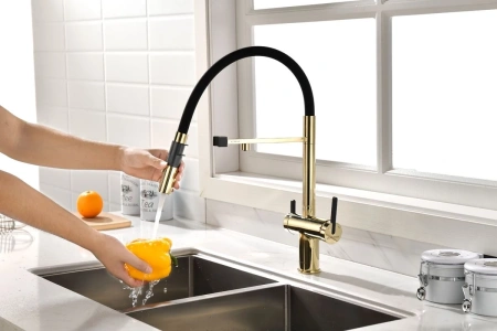 смеситель для кухни с подключением к фильтру paulmark gravity gr213888-g