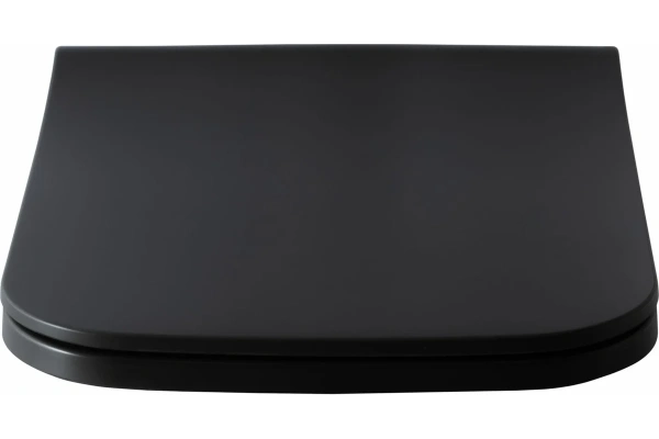 сиденье для унитаза allen brau infinity 2 soft-close, дюропласт, антрацит 4.21014.an 00301925
